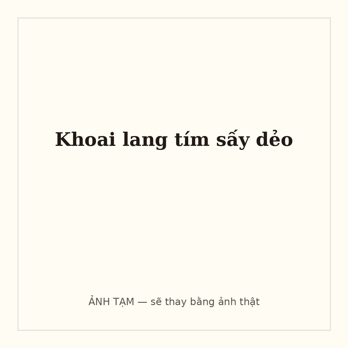 Khoai lang tím sấy dẻo