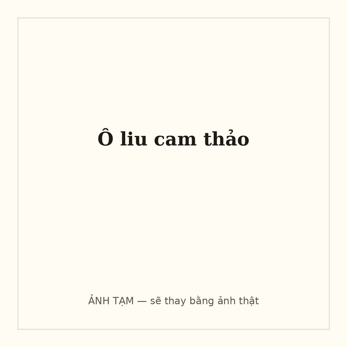 Ô liu cam thảo